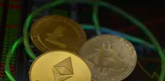 Black Friday shoppers turn to crypto for premium apparel and dining purchases Black Friday shoppers turn to crypto for premium apparel and dining purchases