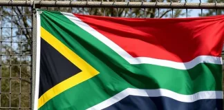The Massive Role of the Private Security Industry in South Africa The Massive Role of the Private Security Industry in South Africa
