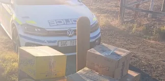 Western Cape Flying Squad Seizes R290,000 Worth of Khat in Central Karoo Bust