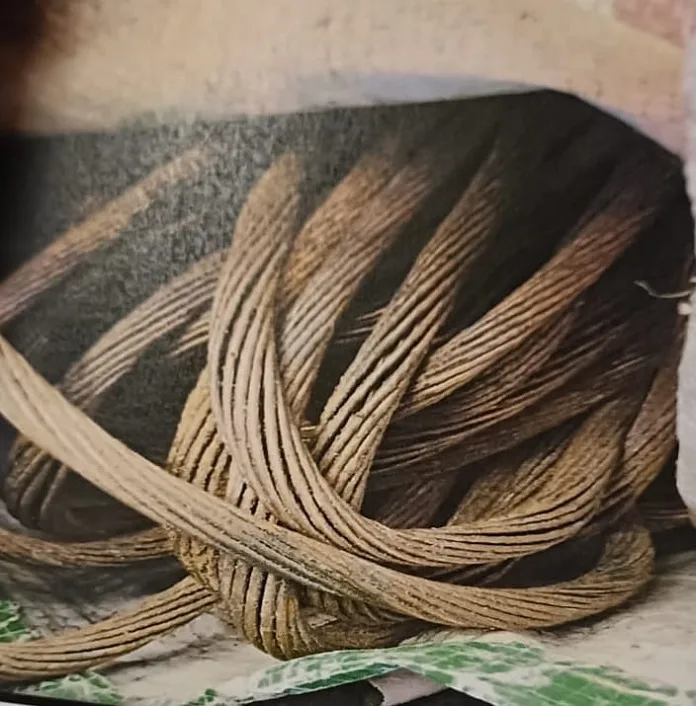 1 Four Arrested for Damaging Essential Infrastructure in Smithfield