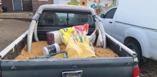 Nine Arrested, Four Bakkies Seized After Looting of Overturned Maize Truck Near Harrismith