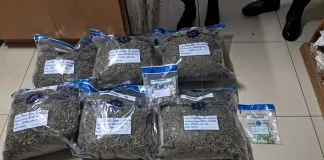 Kidds Beach Police Arrest Suspect with R22,800 Worth of Dagga in Sunny South Raid