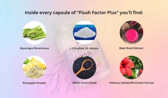 Flush Factor Plus