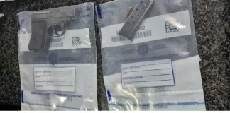 Western Cape Police Arrest Suspect in Illegal Firearm Bust