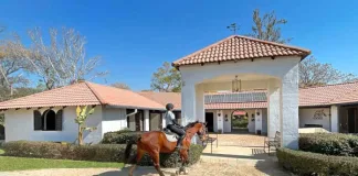 Kyalami horse hotel trials revolutionary stable tiles from tyre recycler Mathe Group Kyalami horse hotel trials revolutionary stable tiles from tyre recycler Mathe Group