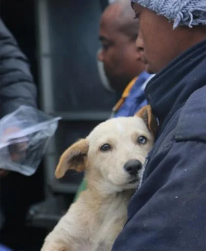 Mandela Day 6’n’7 Project Feeding Pets to keep Families Together