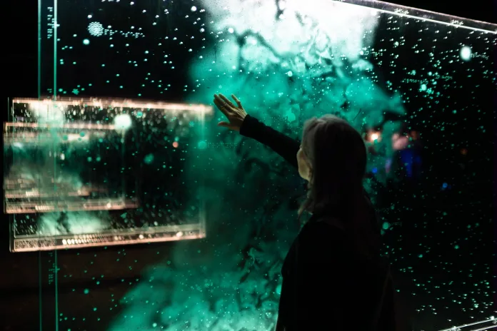 Spier light art 2024 - Berco Wilsenach Written in the stars