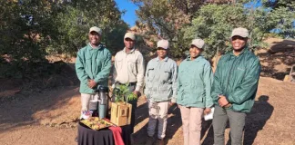 Guiding Futures: Mabula invests in youth and skills Mabula Guide Training Internship Programme