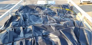 Joint Anti-Smuggling Operation Nets Suspect with R8 Million Worth of Dagga in Limpopo