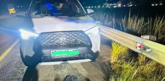 Suspect Arrested for Possession of Stolen Vehicle on N1 Near Polokwane