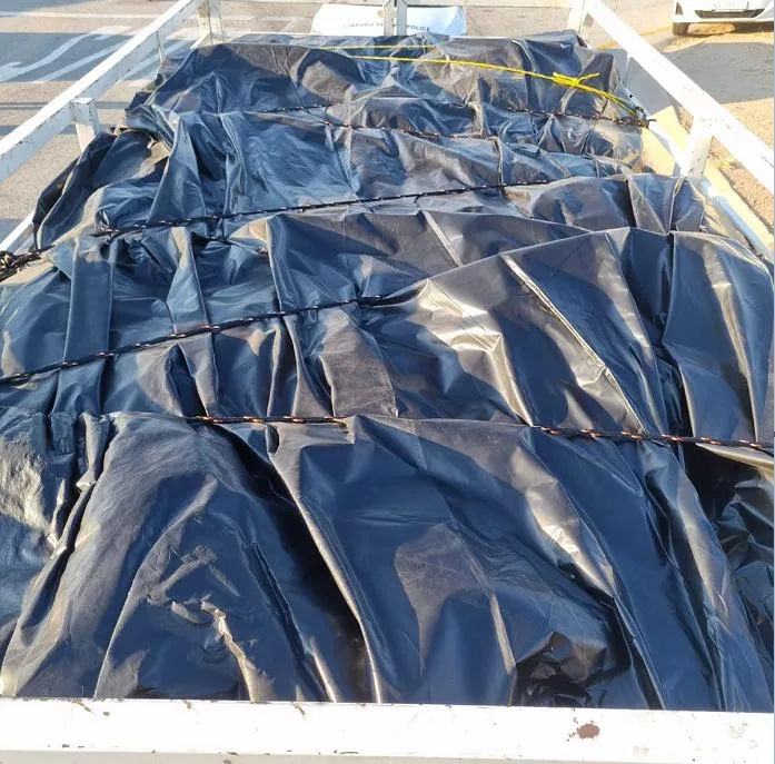 Noname Joint Anti-Smuggling Operation Nets Suspect with R8 Million Worth of Dagga in Limpopo
