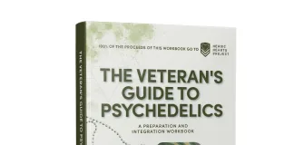 Breaking the Stigma: How Veteran-Led Nonprofits Are Making Psychedelic Therapy Accessible The Veteran’s Guide to Psychedelics