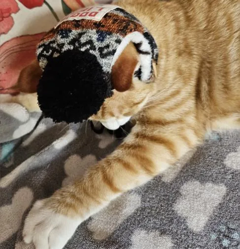 TEARS Animal Rescue Special padded beanie and pompom