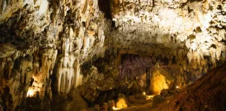 What to Expect on a Bothongo WonderCave Tour: An Insider’s Guide What to Expect on a Bothongo WonderCave Tour: An Insider’s Guide