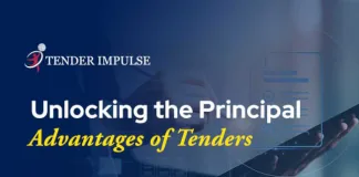 Unlocking the Principal Advantages of Tenders