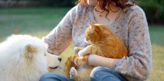 The Data is In: Caring for a Pet is Good for Your Health The Data is In: Caring for a Pet is Good for Your Health