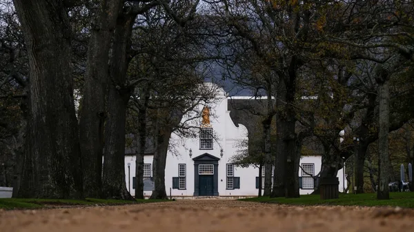 gc-sa-today-340 Groot Constantia