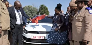 Gauteng unveils new high-tech number plates