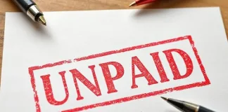 Gauteng NGOs Face Closure as Payment Delays Persist, Social Development Department Responds