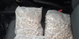 Suspect to Appear in Court After R20,000 Drug Bust in Thembalethu Suspect to Appear in Court After R20,000 Drug Bust in Thembalethu