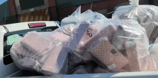 Johannesburg Authorities Seize R10.8 Million in Counterfeit Louis Vuitton Bags