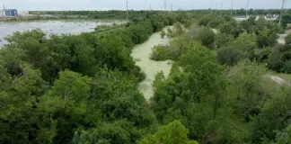 Nat Geo Commemorates 20th anniversary of Hurricane Katrina with new docu-series Hurricane Katrina: Race Against Time