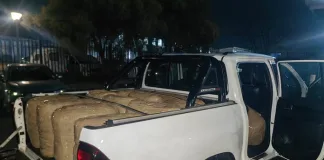Police Arrest Four Suspects in R1.8 Million Dagga Bust and Bribery Attempt at Middelburg Toll Plaza