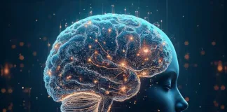 World Brain Day