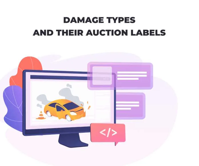 Damage Types and Their Auction Labels