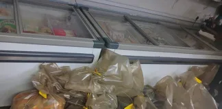 Western Cape Police Arrest Suspect in Illegal Marine Species Operation