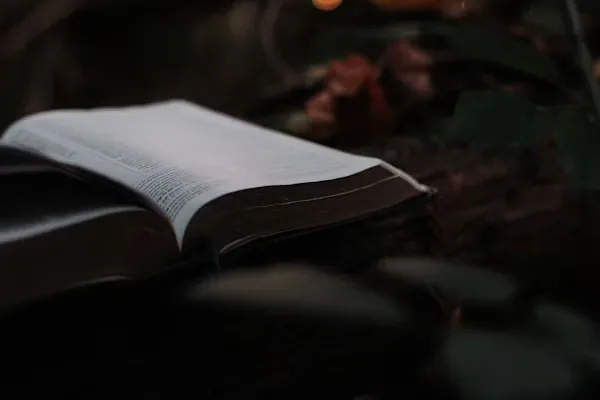 Novel Shadow Slave Novel: A Dark Fantasy Adventure Worth Exploring