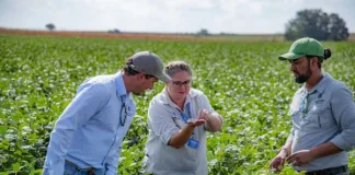 Driving Agricultural Innovation through Precision Breeding, Digital Technologies, and Sustainability Driving Agricultural Innovation through Precision Breeding, Digital Technologies, and Sustainability