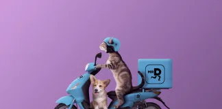 Pet Express Launches on Mr D Pet Express Launches on Mr D