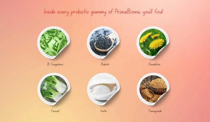 Prime Biome