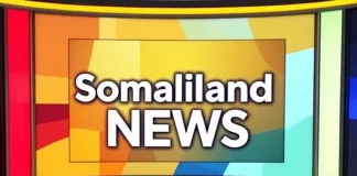 Somaliland Offers US Military Base and Mineral Access in Bid for Recognition Somaliland Offers US Military Base and Mineral Access in Bid for Recognition