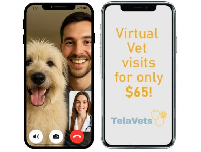 Online veterinary consultations