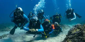 Diving With a Purpose