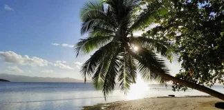 Exploring Fiji by Car: My First Car Rental Experience Exploring Fiji by Car: My First Car Rental Experience