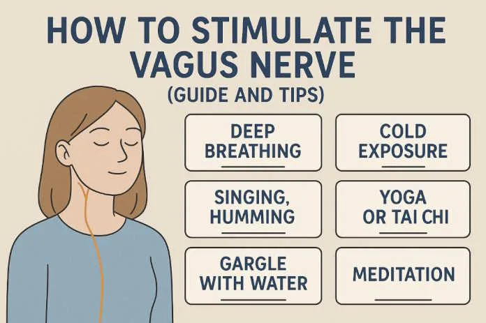 How to Stimulate the Vagus Nerve