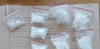 Foreign National Arrested with R20,000 Worth of Drugs in Welkom Operation Foreign National Arrested with R20,000 Worth of Drugs in Welkom Operation