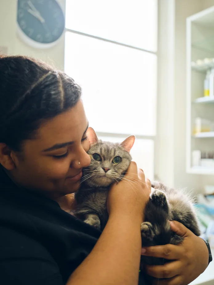 Amici Pet Hospital
