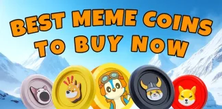 3 Best Meme Coins For Exponential Returns And Long-Term Gains