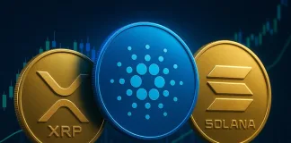 Solana, XRP Price Slip As Trending Star Remittix (RTX) Continues To Surge