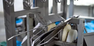 Food Processing Equipment
