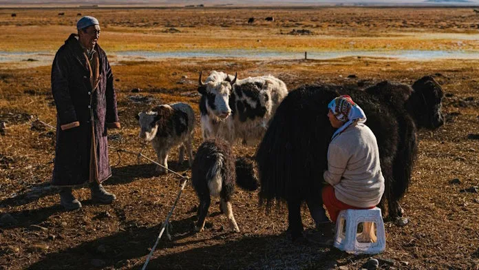 Horses as a Gateway to Community