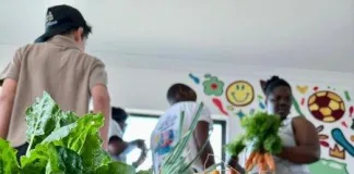 Community Garden and Micro-Farming Initiatives Cultivate Growth and Opportunity on the KZN South Coast Community Garden and Micro-Farming Initiatives Cultivate Growth and Opportunity on the KZN South Coast