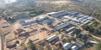 Sappi Sells Lomati Sawmill to Normandien Farms
