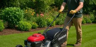 LawnQ: Australia's Easiest Way to Book Lawn Mowing and Gardening Services