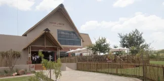 Five Reasons to Visit Bothongo Rhino & Lion Nature Reserve’s Iconic Neck & Deck Restaurant