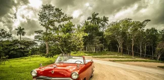 PPF vs Ceramic Coating: Which Paint Protection Is Best for Your Car?
